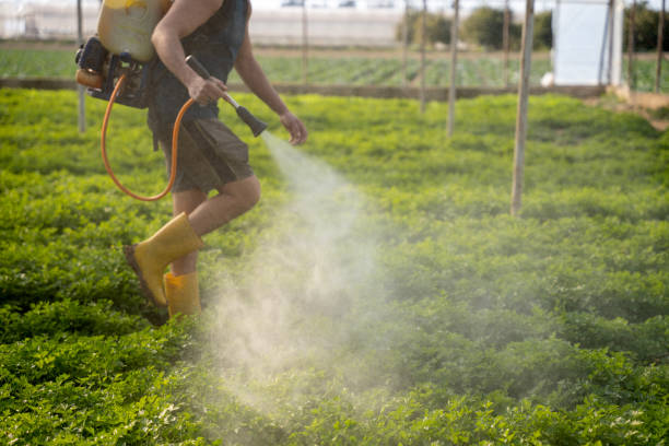 Best Affordable Pest Control Services  in Lake Winnebago, MO